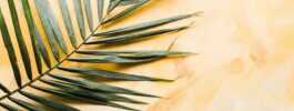 What Is Palm Sunday and Why Does It Matter for Your Faith?